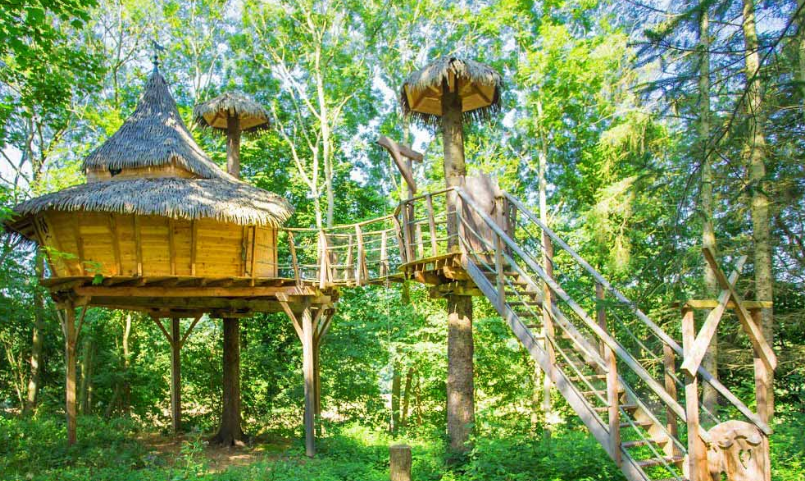 Tree house